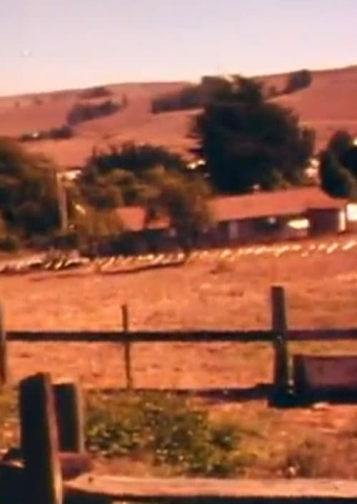 Christo Running Fence Reels: Don’t Squeeze The Fence (1976) poster