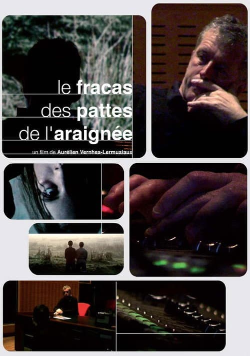 Le fracas des pattes de l’araignée (2012) poster