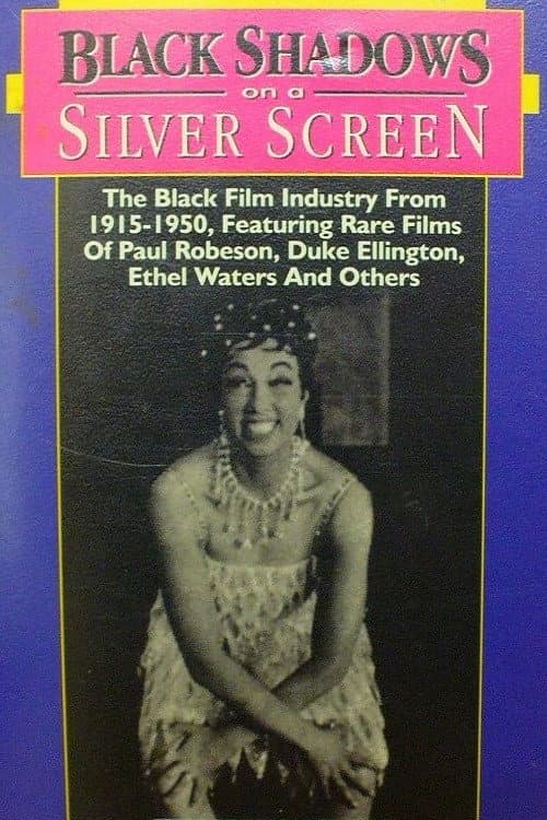 Black Shadows on a Silver Screen (1975) poster