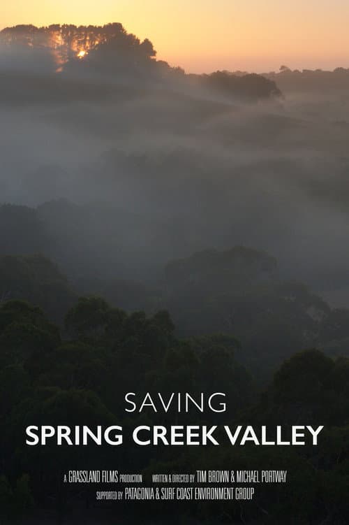 Saving Spring Creek Valley (2026) poster