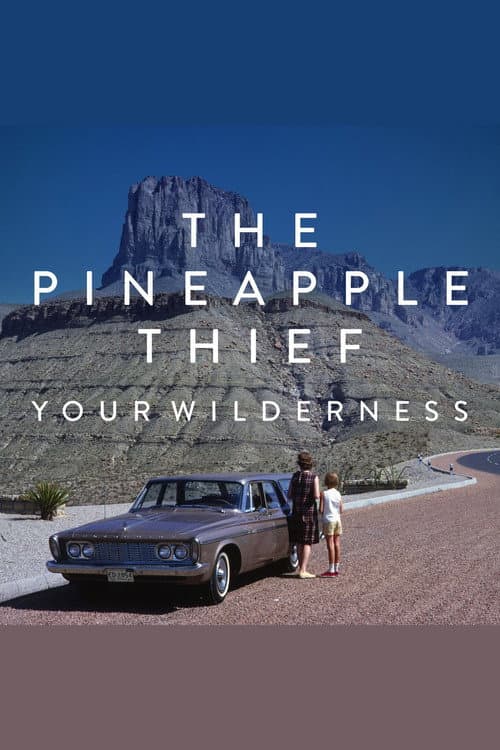 The Pineapple Thief: Your Wilderness (2017) poster