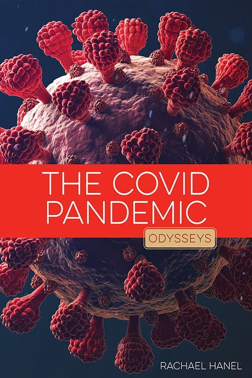 The Coronavirus Epidemic (2020) poster