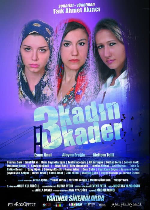 3 Kadın 3 Kader (2013) poster