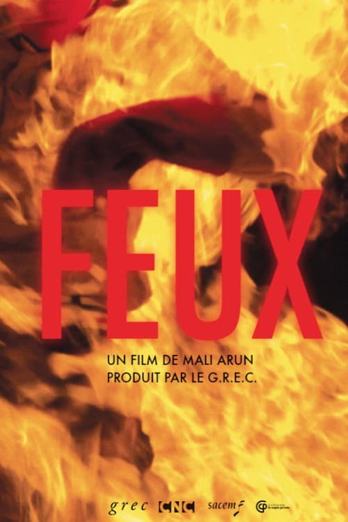 Feux (2015) poster