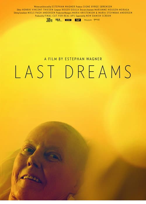 En god død (2013) poster