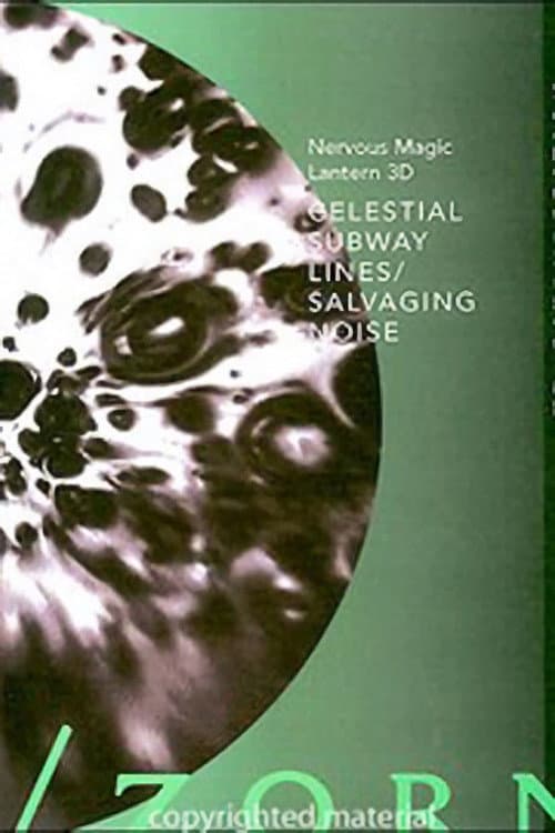 Celestial Subway Lines/Salvaging Noise (2005) poster