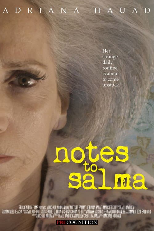 Notes to Salma (2019) poster