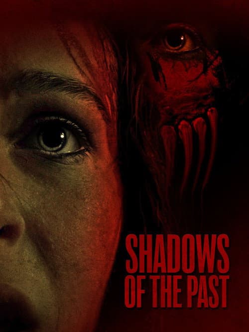 Shadows Of The Past (2025) poster