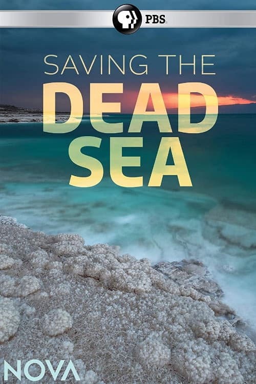 Saving the Dead Sea (2019) poster