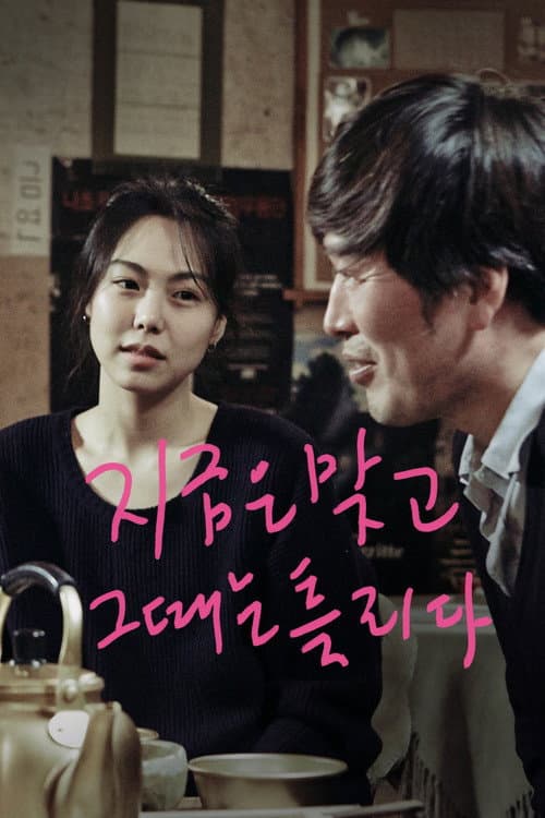 지금은맞고그때는틀리다 (2015) poster