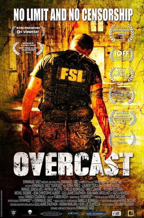 Overcast (2014) poster