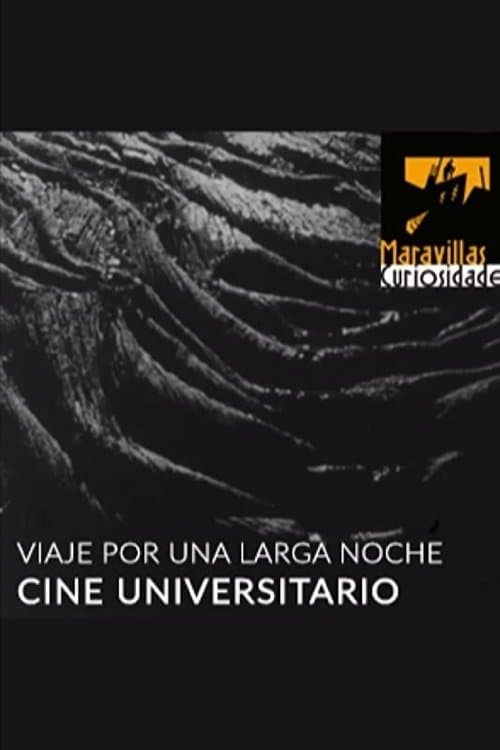 Viaje por una larga noche (1977) poster