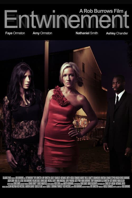 Entwinement (2013) poster