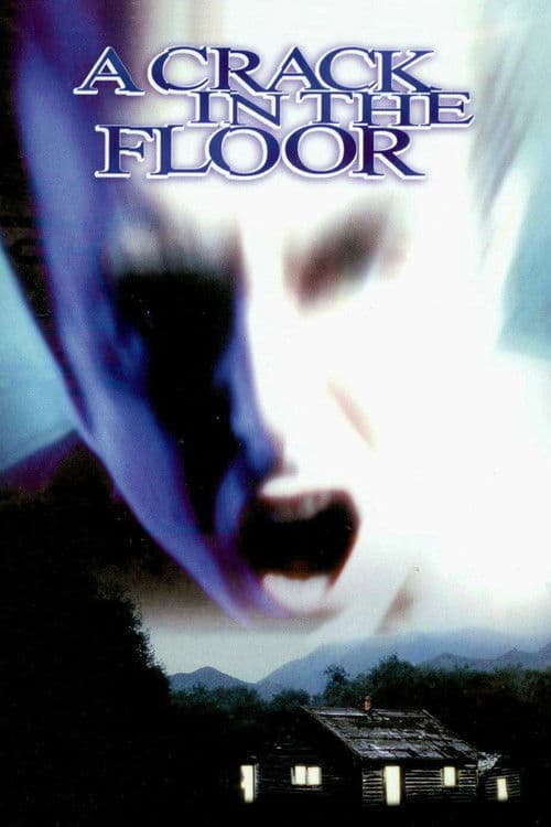 A Crack in the Floor (2001) poster