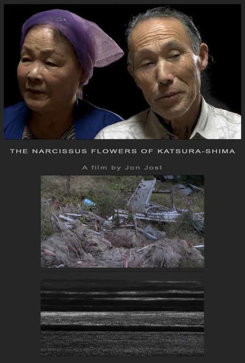The Narcissus Flowers of Katsura-shima (2012) poster