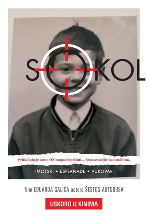 Sokol (2025) poster