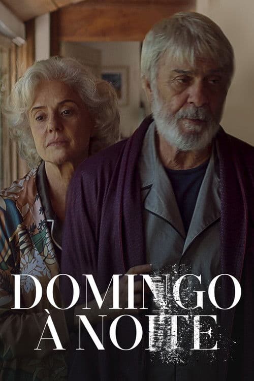 Domingo à Noite (2024) poster