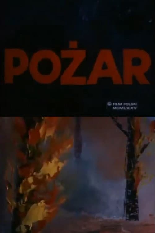 Pożar (1975) poster