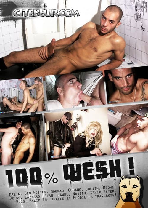100% Wesh! (2013) poster