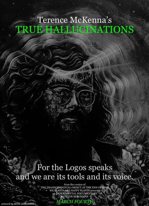 Terence McKenna's True Hallucinations (2016) poster
