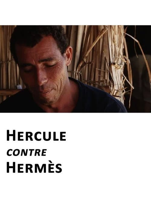 Hercule contre Hermès (2014) poster