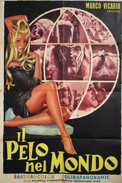 Il pelo nel mondo (1964) poster