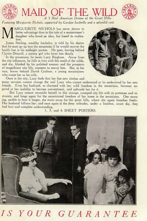 The Maid of the Wild (1915) poster