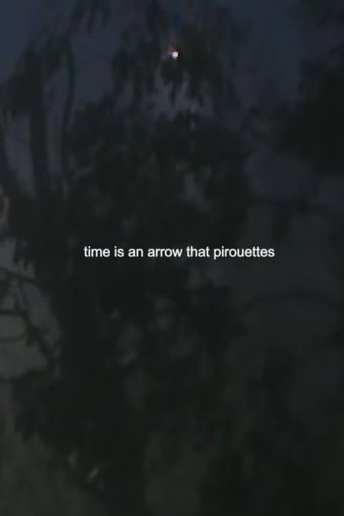 Bad Photography (2026) poster