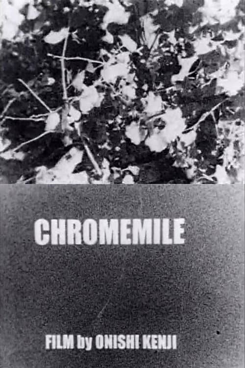Chromemile (2009) poster