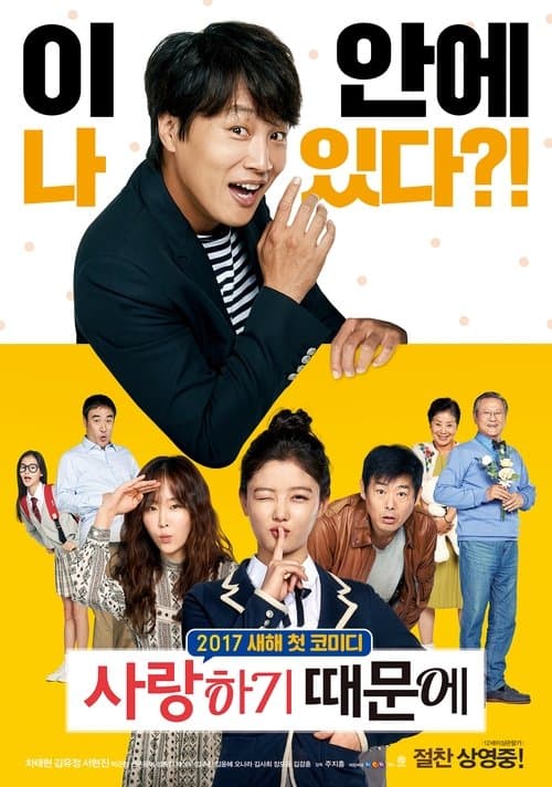 Saranghagi Ttaemoone (2017) poster