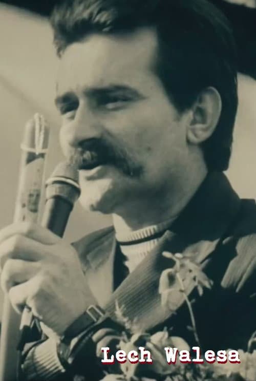 Wałęsa według Wałęsy (2017) poster