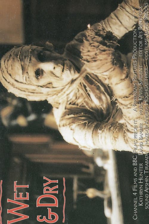 Wet and Dry (1997) poster