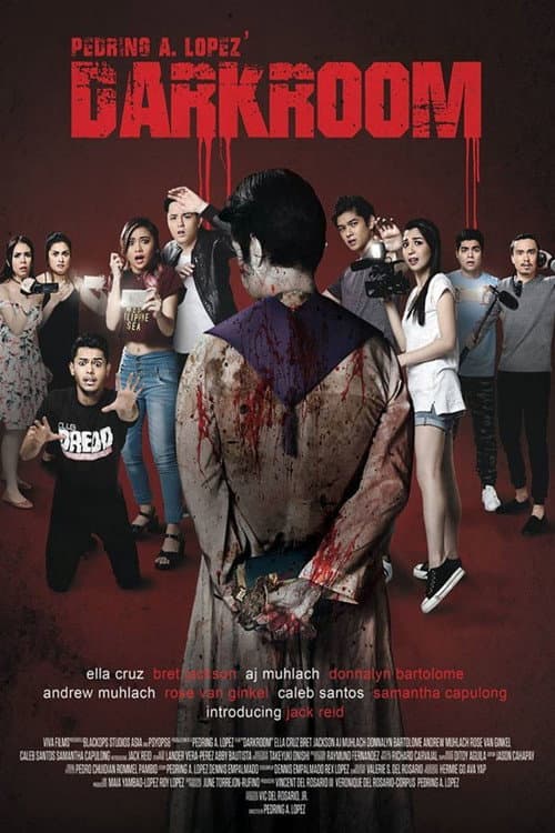 Darkroom (2017) poster