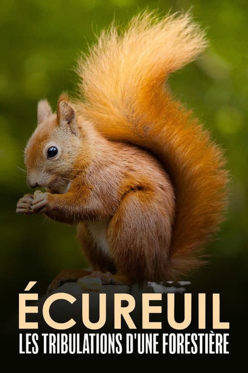 Écureuil : Les Tribulations d'une forestière (2022) poster