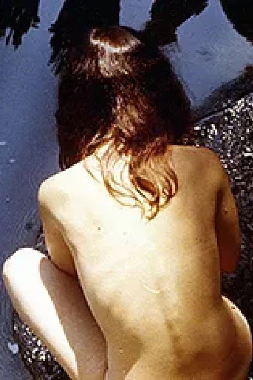 False Pretenses (1974) poster