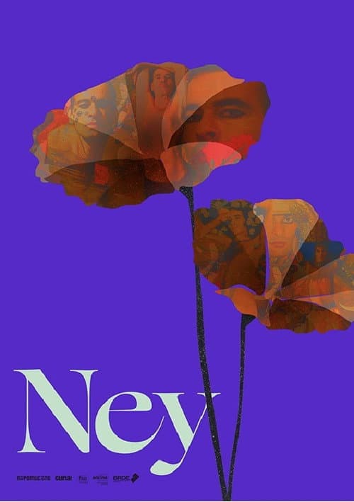 Ney - À Flor da Pele (2020) poster