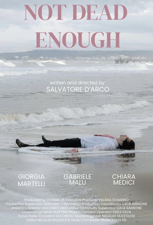 Not dead enough (2025) poster