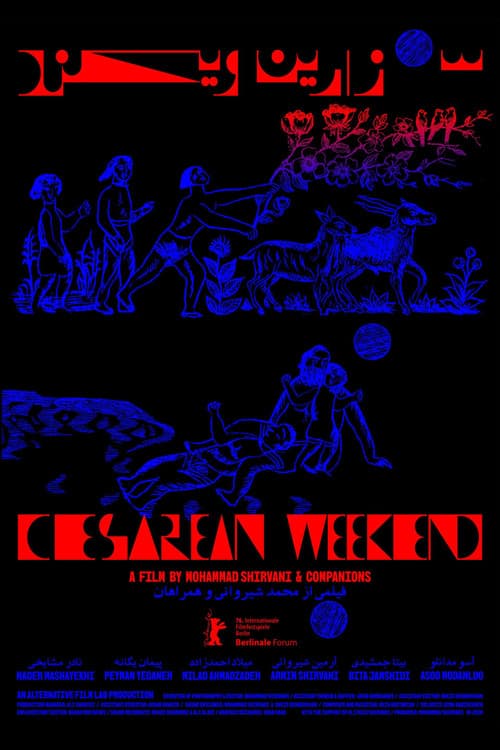 Cesarean Weekend (2026) poster