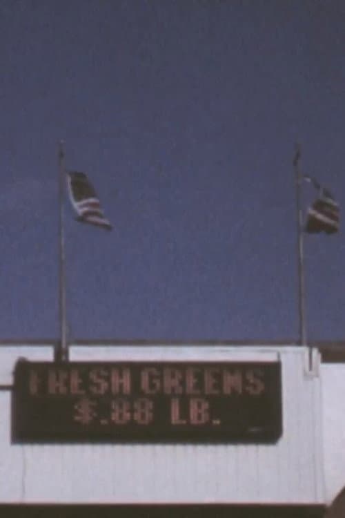 3 Flags (2010) poster