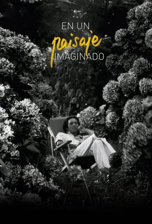 En un paisaje imaginado (2012) poster