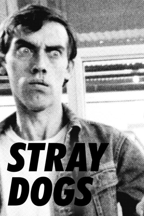 Stray Dogs (1985) poster