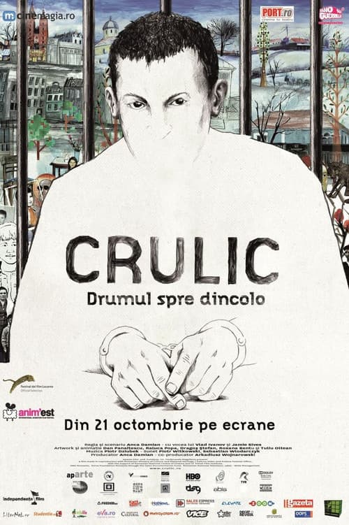 Crulic - Drumul spre dincolo (2011) poster