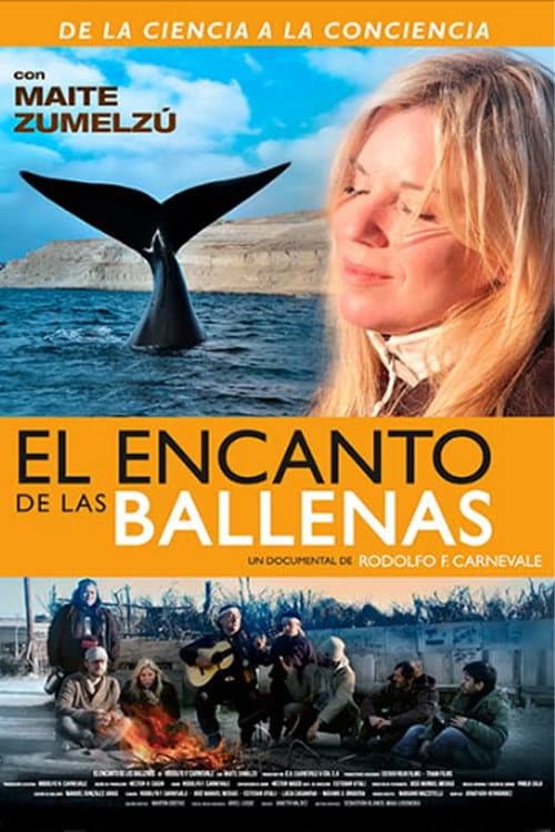 El Encanto de las Ballenas (2021) poster