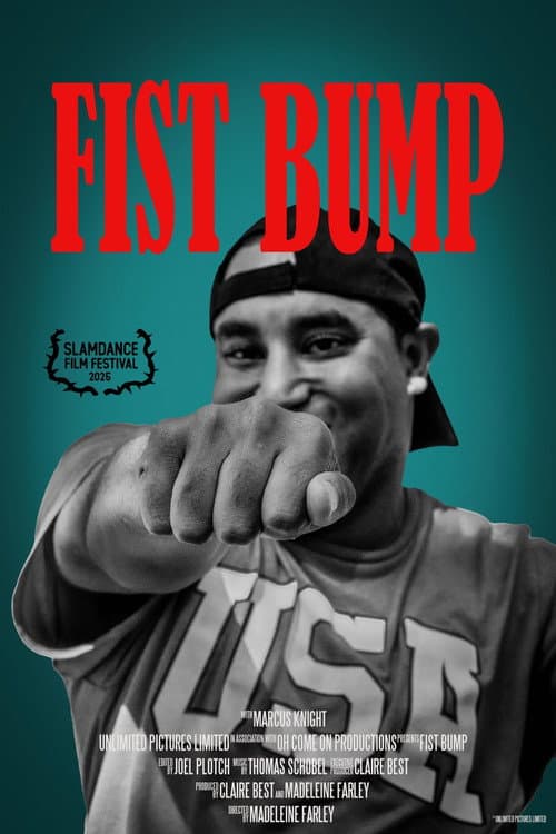 Fist Bump (2024) poster