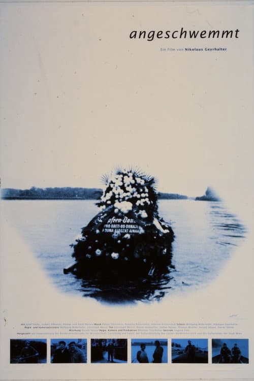 Angeschwemmt (1994) poster