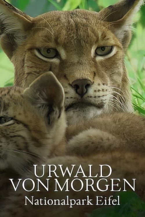 Urwald von morgen – Nationalpark Eifel (2023) poster