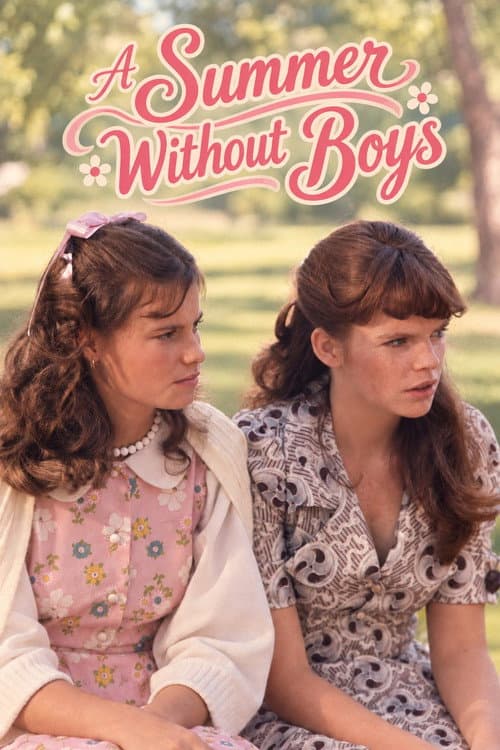 A Summer Without Boys (1973) poster