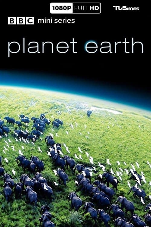 Planet Earth (2006) poster