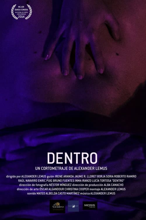 Dentro (2013) poster