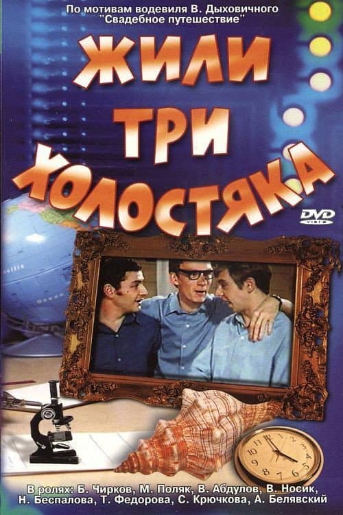 Жили три холостяка (1973) poster